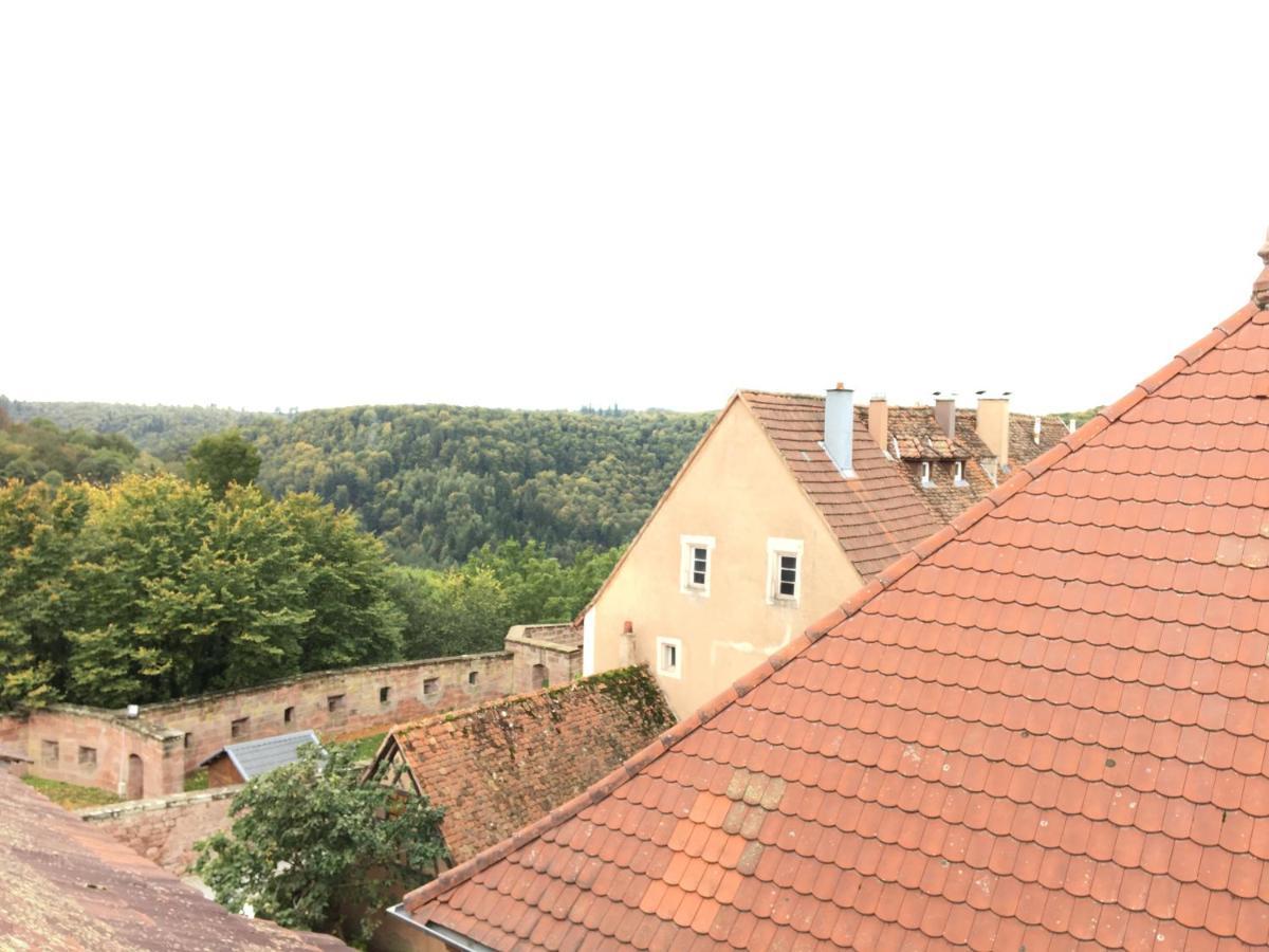 Les Appartements D'Estelle La Petite-Pierre Kültér fotó