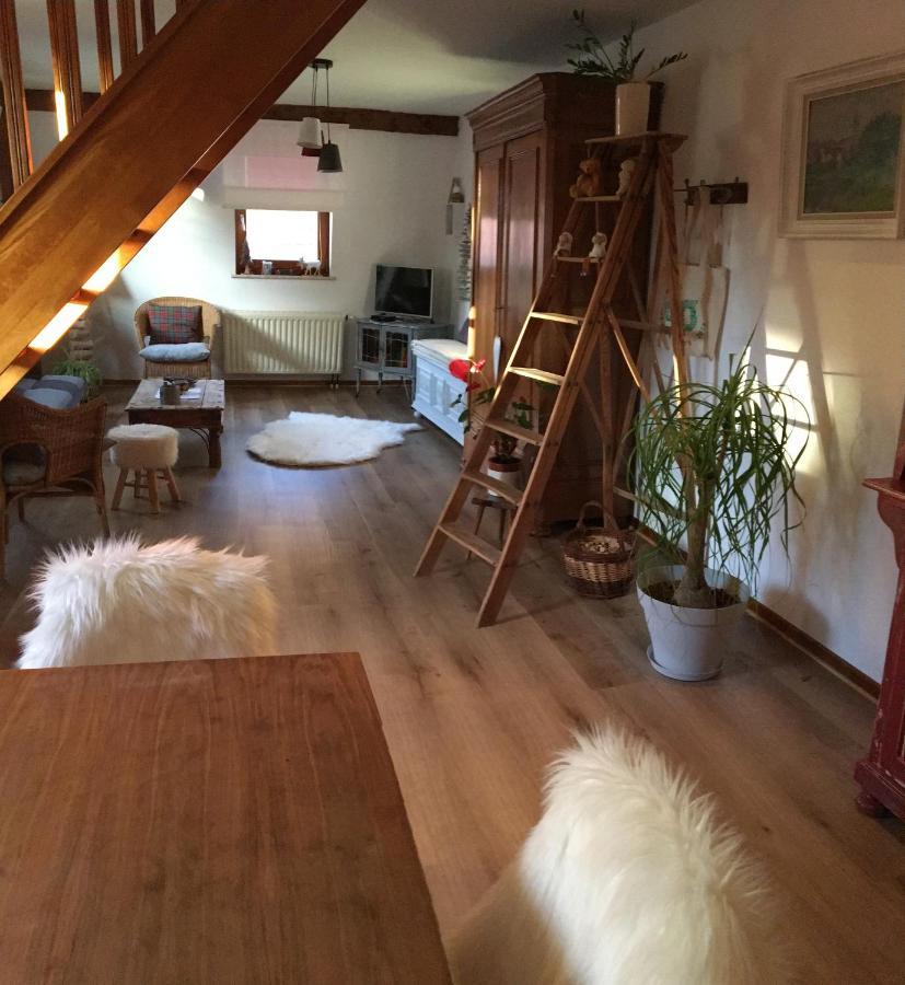 Les Appartements D'Estelle La Petite-Pierre Kültér fotó