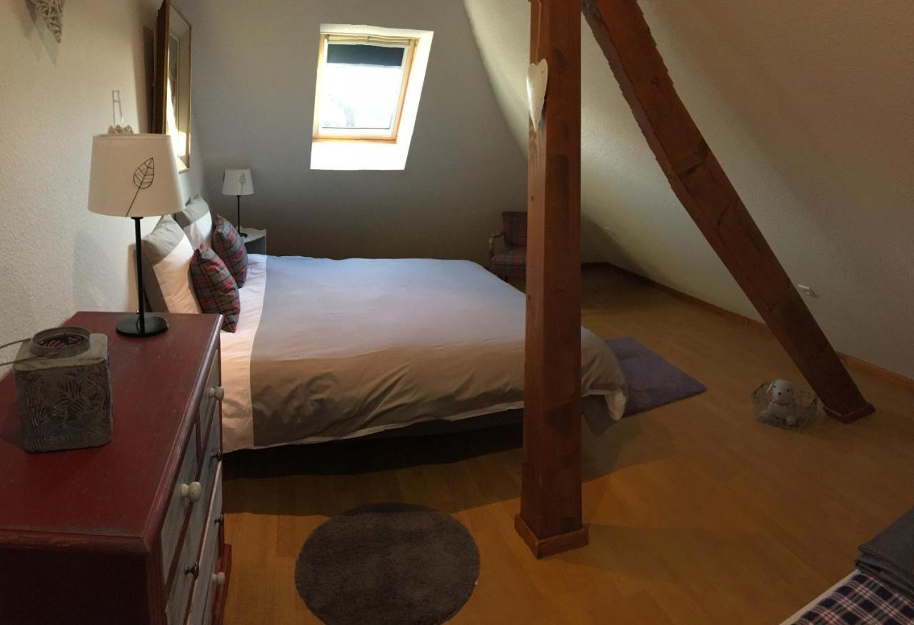 Les Appartements D'Estelle La Petite-Pierre Kültér fotó