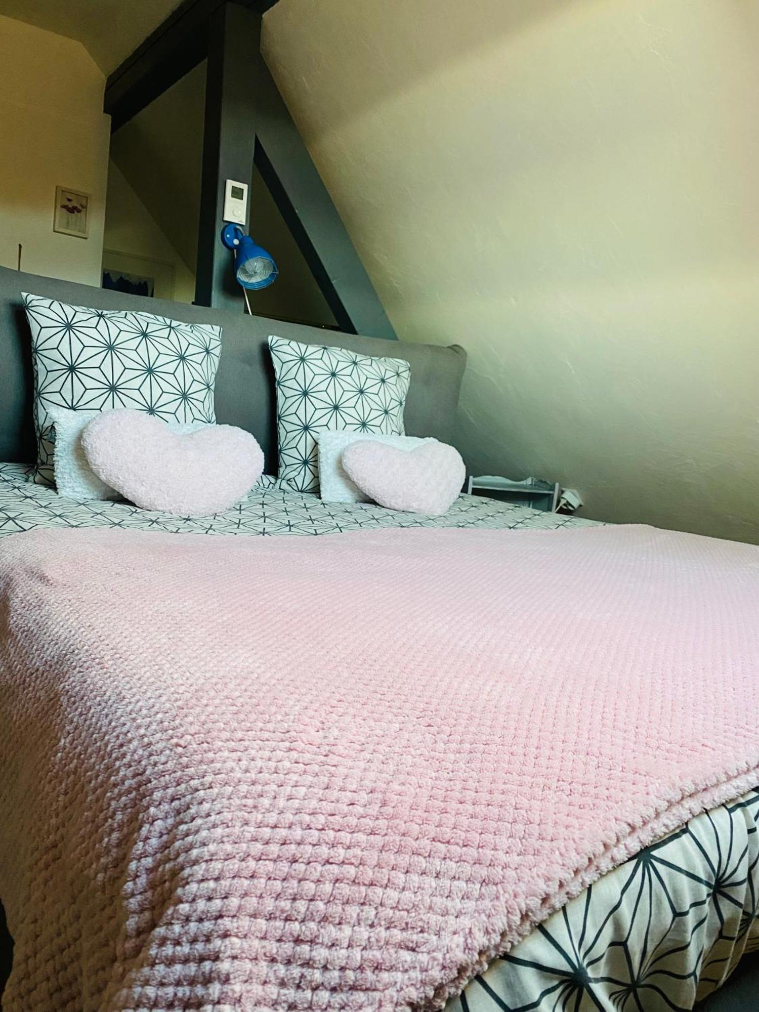 Les Appartements D'Estelle La Petite-Pierre Kültér fotó