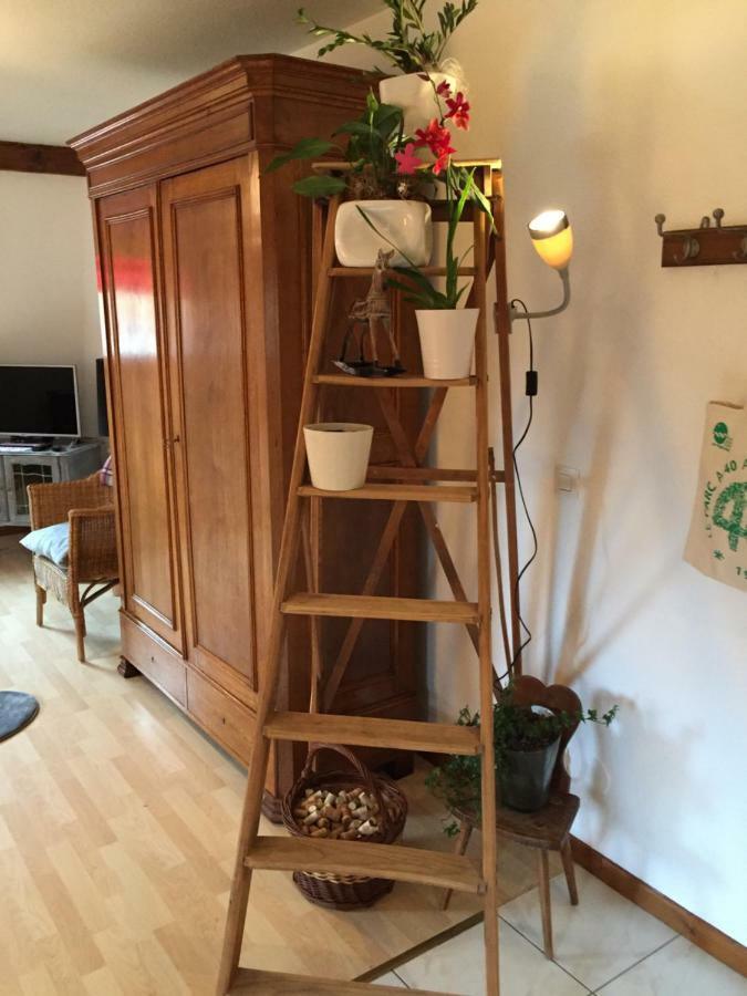 Les Appartements D'Estelle La Petite-Pierre Kültér fotó