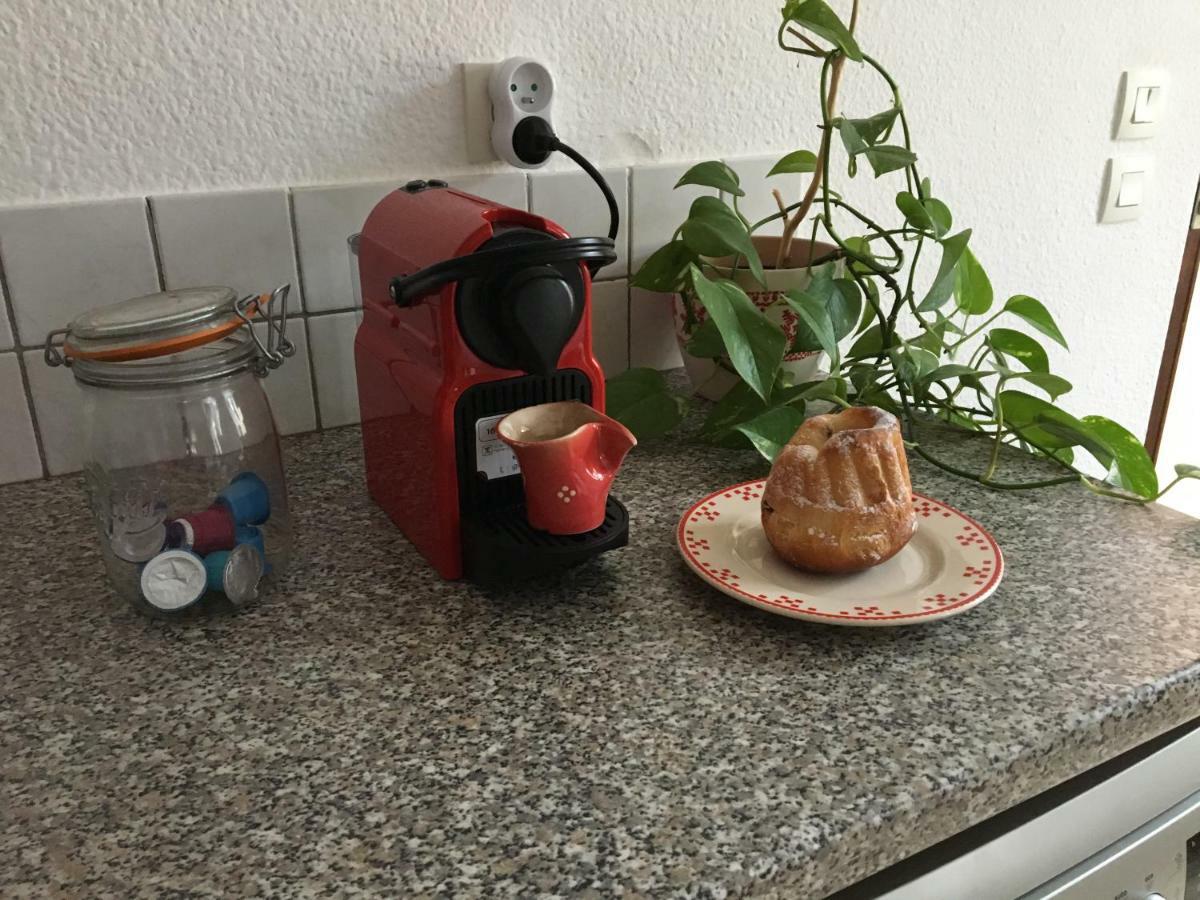 Les Appartements D'Estelle La Petite-Pierre Kültér fotó