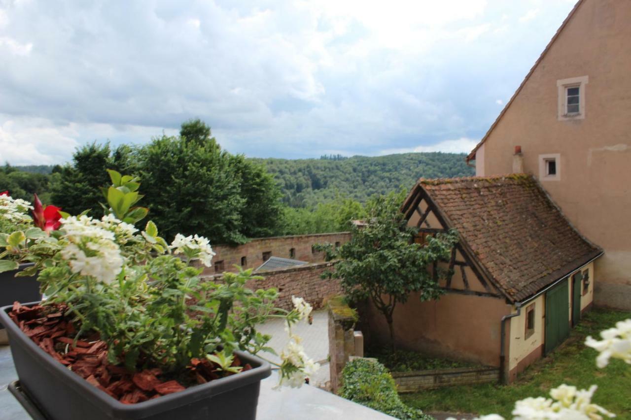 Les Appartements D'Estelle La Petite-Pierre Kültér fotó