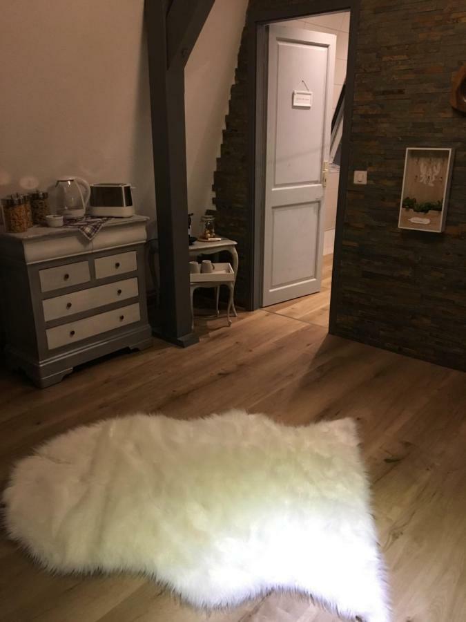 Les Appartements D'Estelle La Petite-Pierre Kültér fotó