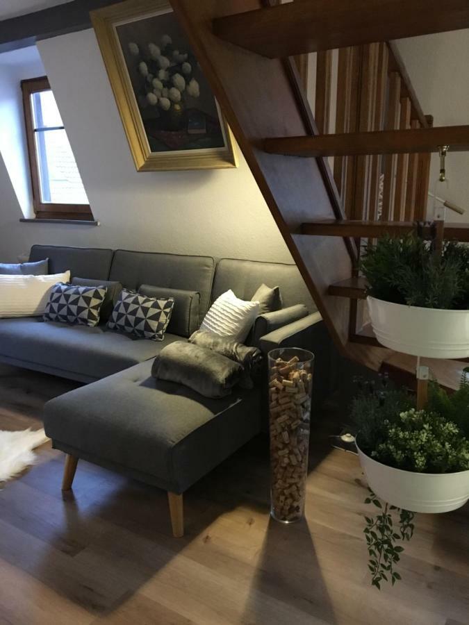 Les Appartements D'Estelle La Petite-Pierre Kültér fotó